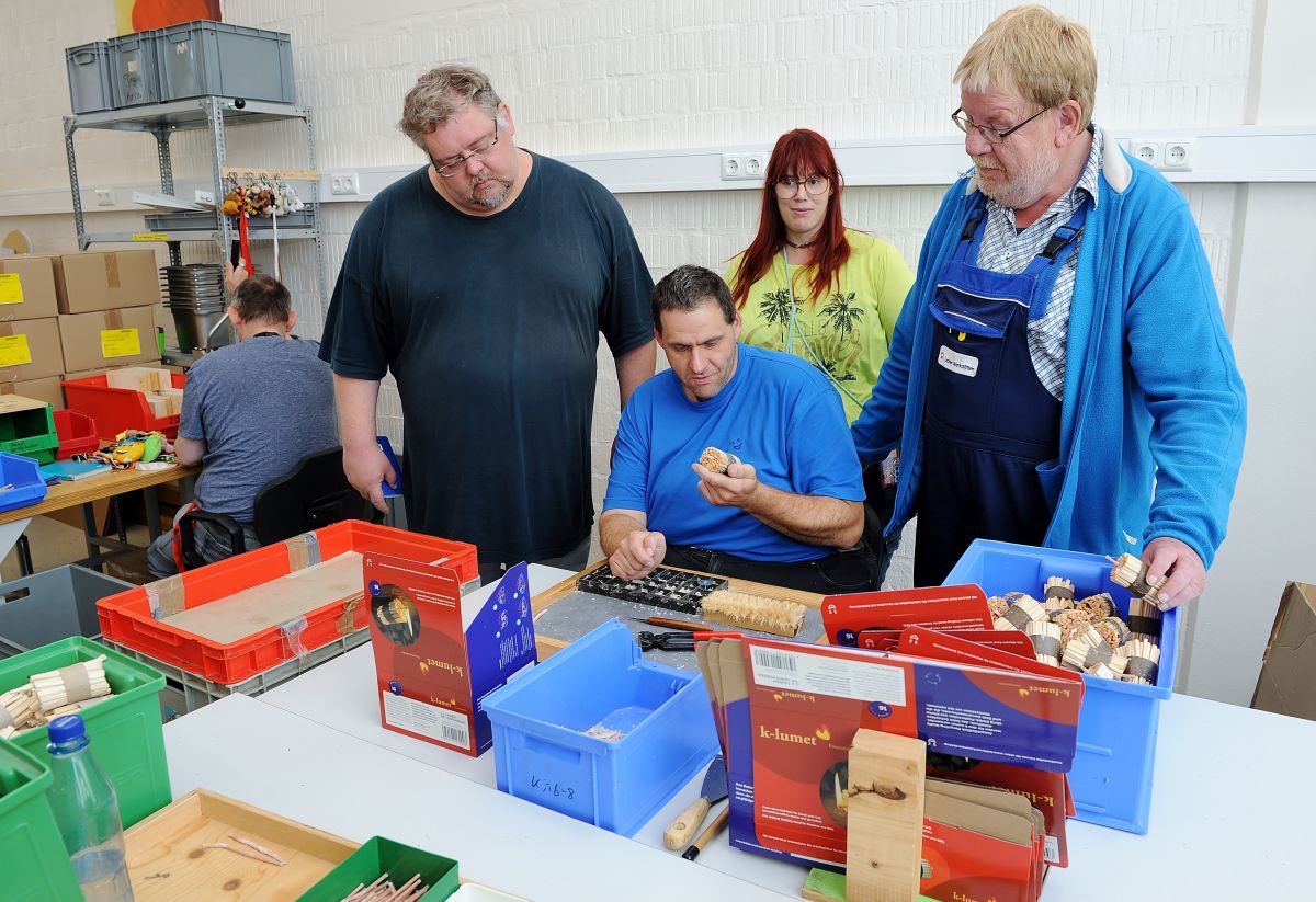 JuniWerkstattrat3Online