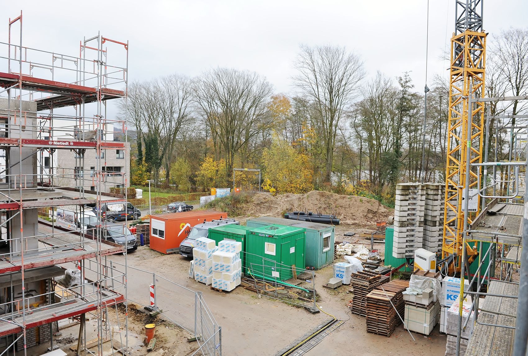 NovemberDiekwiese8online